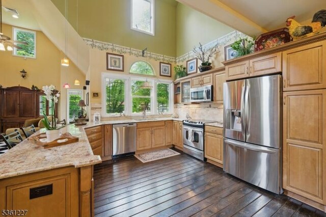 10 Fawn Ter, Jefferson Twp, NJ 07849 - kitchen featuring stainless steel appliances, a towering ceiling, a peninsula, dark wood-style floors, and light stone counters