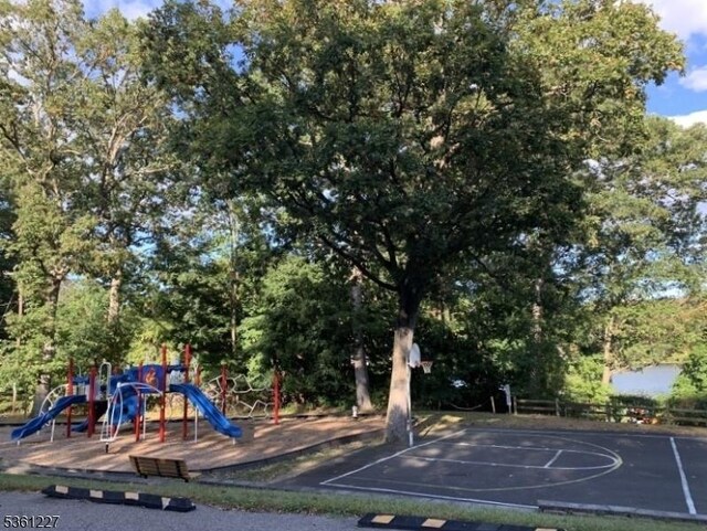 10 Fawn Ter, Jefferson Twp, NJ 07849 - community jungle gym with community basketball court