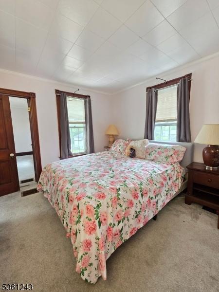 126 Park Ave, Lopatcong Twp, NJ 08865 - carpeted bedroom with multiple windows and crown molding