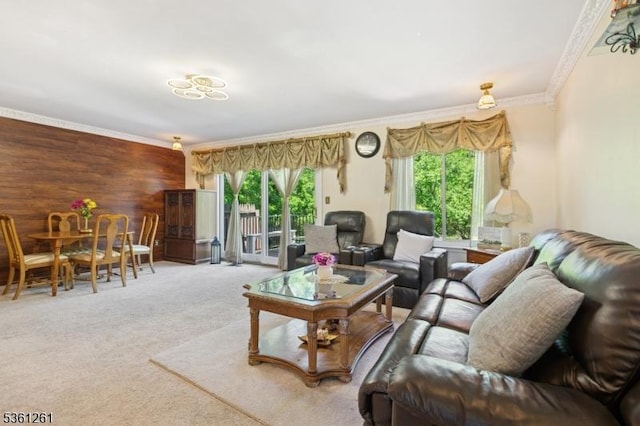 665F Dover Ct, Hillsborough Twp, NJ 08844 - carpeted living room featuring crown molding and wooden walls