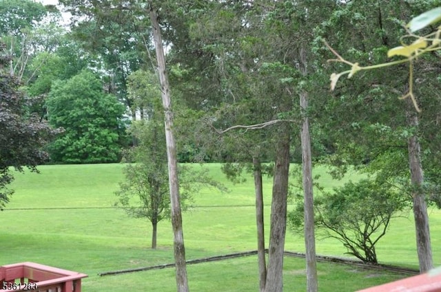 6 Langon Hollow Rd, Bridgewater Twp, NJ 08807 - view of community featuring a lawn