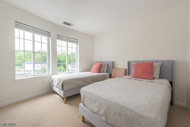 212 Riveredge Dr Unit 212, Chatham Twp, NJ 07928 - bedroom featuring multiple windows, baseboards, and light carpet