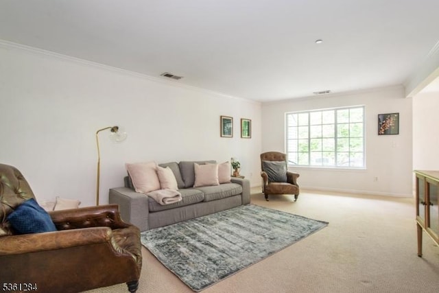 212 Riveredge Dr Unit 212, Chatham Twp, NJ 07928 - living room with carpet floors, crown molding, and baseboards