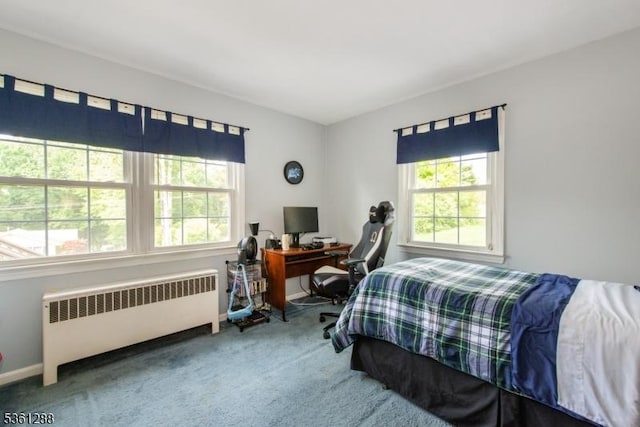 24 W Windy Bush Ln, Sparta Twp, NJ 07871 - bedroom with radiator, multiple windows, carpet, and a desk