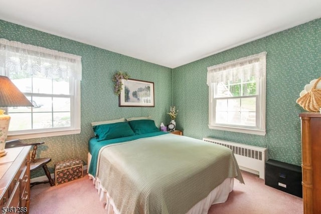 24 W Windy Bush Ln, Sparta Twp, NJ 07871 - carpeted bedroom featuring radiator