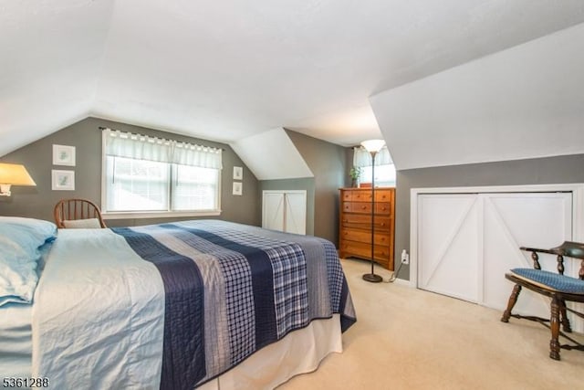 24 W Windy Bush Ln, Sparta Twp, NJ 07871 - bedroom with vaulted ceiling, carpet flooring, and multiple windows
