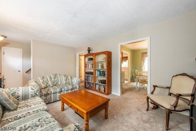 24 W Windy Bush Ln, Sparta Twp, NJ 07871 - view of carpeted living area
