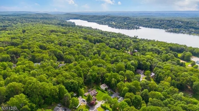 24 W Windy Bush Ln, Sparta Twp, NJ 07871 - aerial view of a heavily wooded area and a large body of water