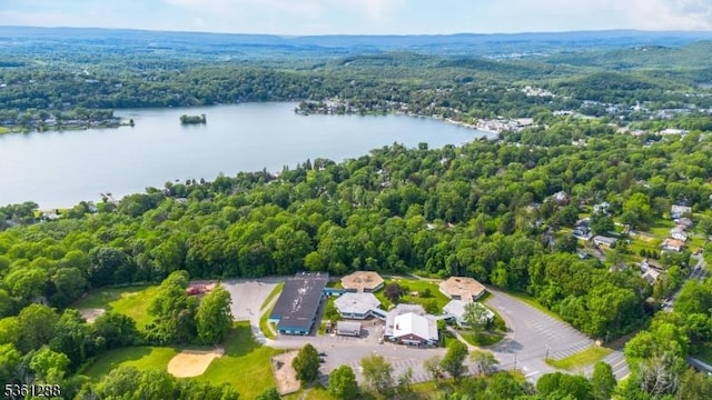 24 W Windy Bush Ln, Sparta Twp, NJ 07871 - bird's eye view of a heavily wooded area and a nearby body of water