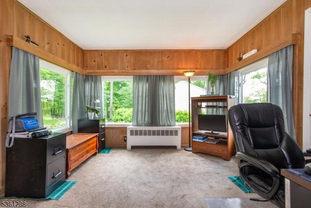 24 W Windy Bush Ln, Sparta Twp, NJ 07871 - sunroom with radiator, plenty of natural light, carpet floors, and wood walls