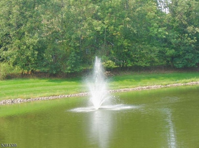 1605 Breckenridge Dr, Branchburg Twp, NJ 08876 - water view