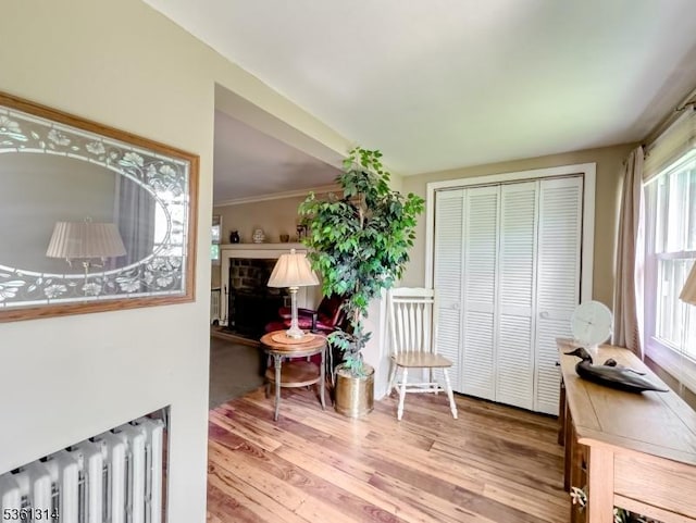 51 Minnehaha Blvd, Parsippany-Troy Hills Twp, NJ 07034 - living area featuring radiator, wood finished floors, and crown molding