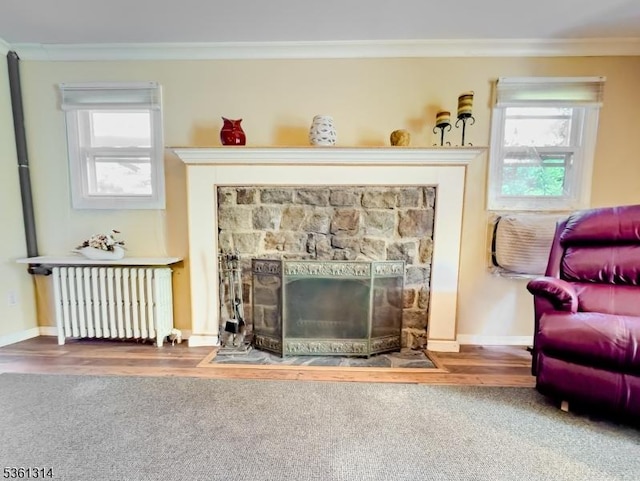 51 Minnehaha Blvd, Parsippany-Troy Hills Twp, NJ 07034 - living room with radiator heating unit, crown molding, a fireplace, plenty of natural light, and baseboards