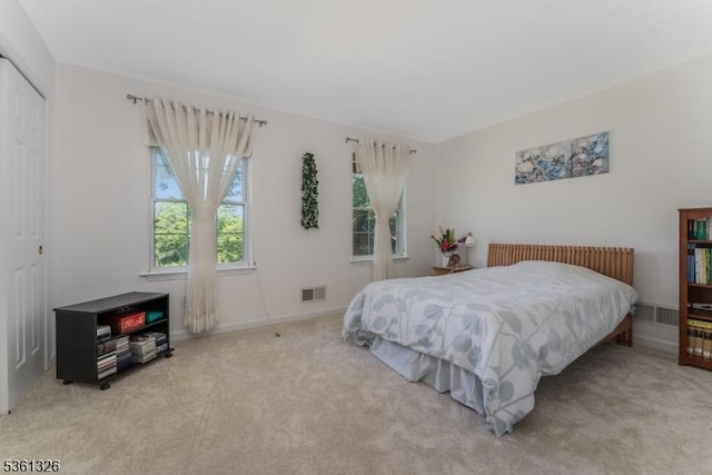 1 Elm St, High Bridge Boro, NJ 08829 - bedroom featuring light carpet, a closet, and baseboards