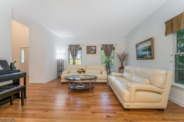 1 Elm St, High Bridge Boro, NJ 08829 - living area with healthy amount of natural light and light wood-type flooring