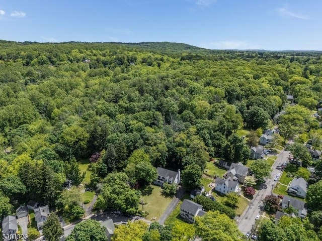 1 Elm St, High Bridge Boro, NJ 08829 - aerial overview of property's location with a heavily wooded area