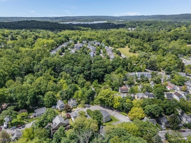 1 Elm St, High Bridge Boro, NJ 08829 - aerial view of property and surrounding area with a heavily wooded area and nearby suburban area