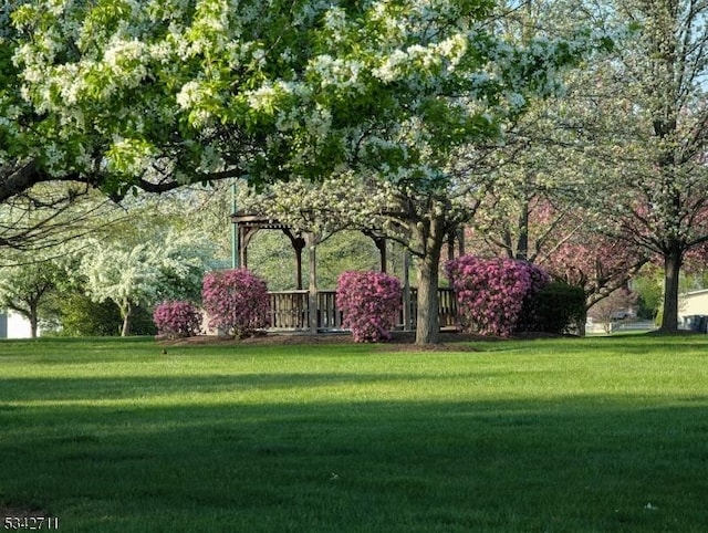 4 Stone Hill Ln, White Twp, NJ 07823 - view of home's community with a lawn