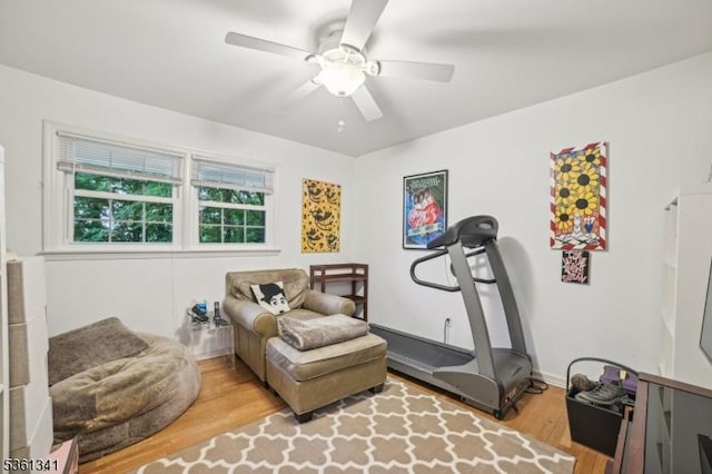 2 Skyline Dr, Morris Twp, NJ 07960 - workout area with wood finished floors and a ceiling fan