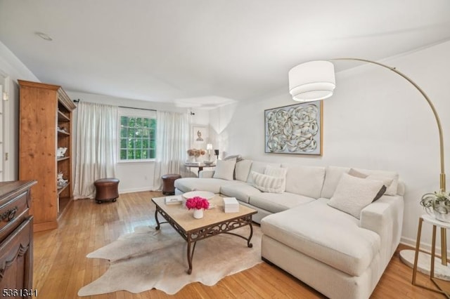 2 Skyline Dr, Morris Twp, NJ 07960 - living area featuring light wood finished floors and baseboards