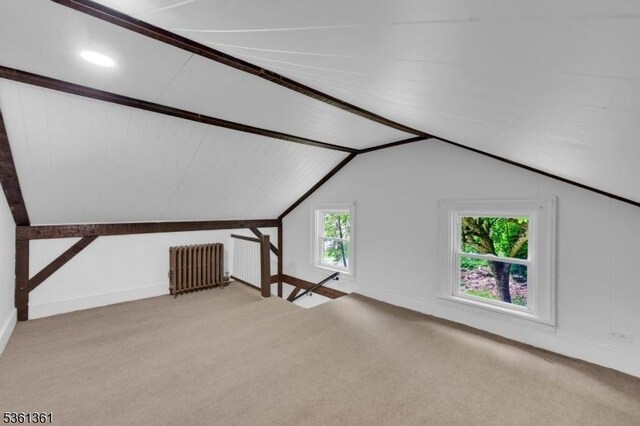 18 Ann St, Knowlton Twp, NJ 07832 - bonus room featuring radiator heating unit, carpet flooring, and lofted ceiling