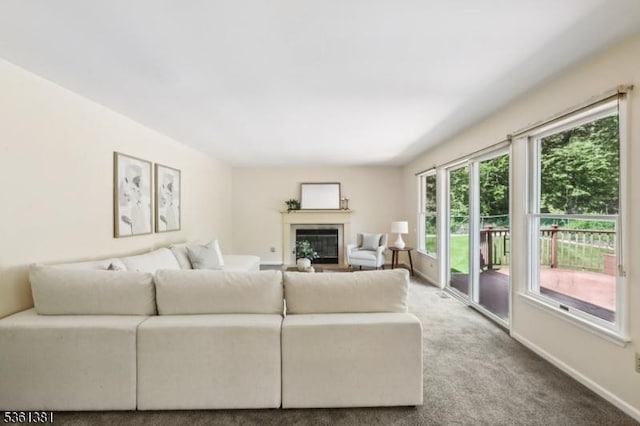 25 Castle Ct, Randolph Twp, NJ 07869 - living area featuring a glass covered fireplace, carpet, and baseboards