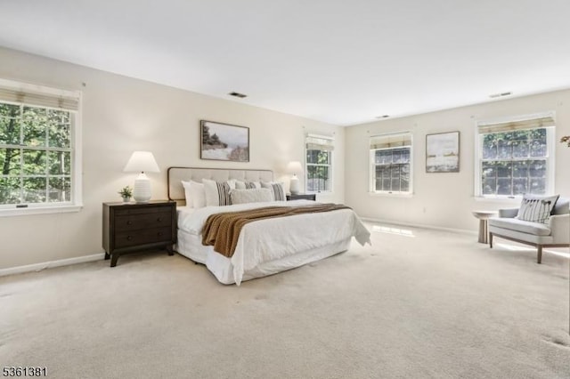 25 Castle Ct, Randolph Twp, NJ 07869 - bedroom with multiple windows and carpet flooring