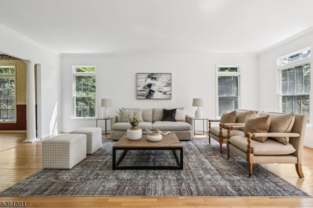 25 Castle Ct, Randolph Twp, NJ 07869 - living area featuring wood finished floors, healthy amount of natural light, ornate columns, and baseboards