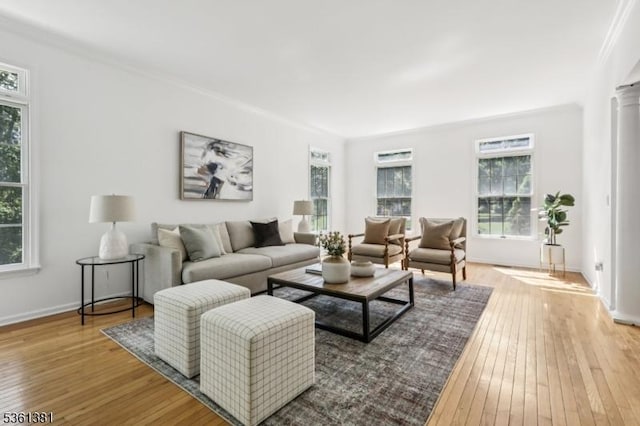 25 Castle Ct, Randolph Twp, NJ 07869 - living area with hardwood / wood-style flooring and healthy amount of natural light