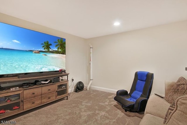 29 Black Oak Dr, Vernon Twp, NJ 07462 - sitting room featuring carpet flooring and baseboards