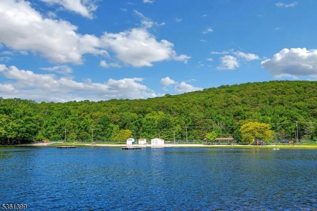 29 Black Oak Dr, Vernon Twp, NJ 07462 - water view with a forest