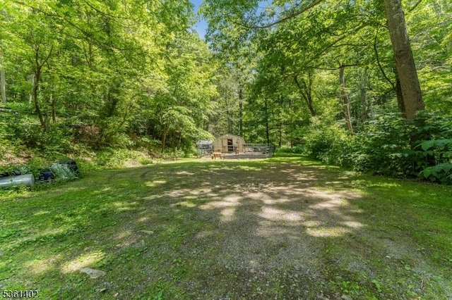 115 Stephensburg Rd, Washington Twp, NJ 07865 - view of yard with a view of trees and an outbuilding