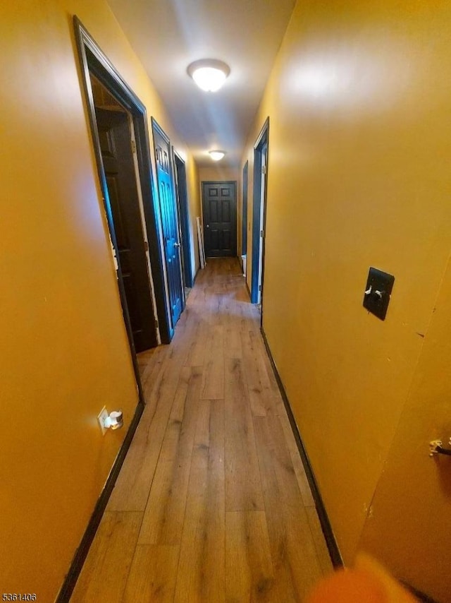 4 Babbitt Ct, Newton Town, NJ 07860 - hallway with light wood-style flooring and baseboards