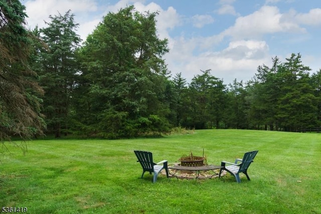 50 Skillman Rd, Montgomery Twp, NJ 08558 - view of green lawn with an outdoor fire pit and a forest view