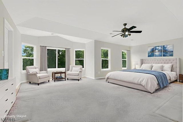 9 Mcgovern Ct, Bridgewater Twp, NJ 08807 - bedroom with multiple windows, carpet, and ceiling fan