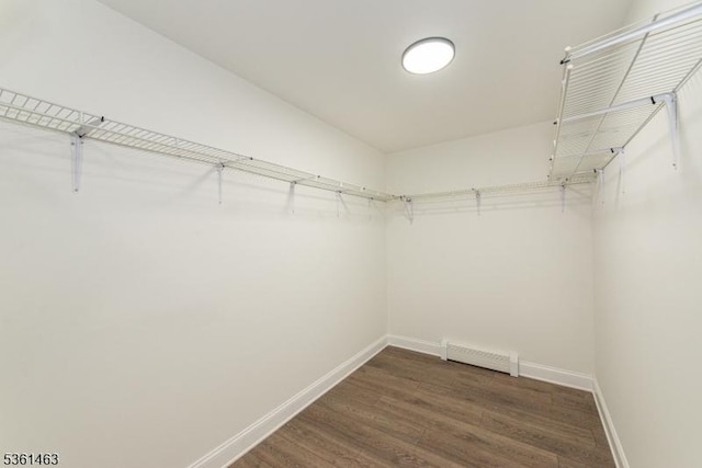 5 Britton St, Netcong Boro, NJ 07857 - spacious closet with dark wood-type flooring