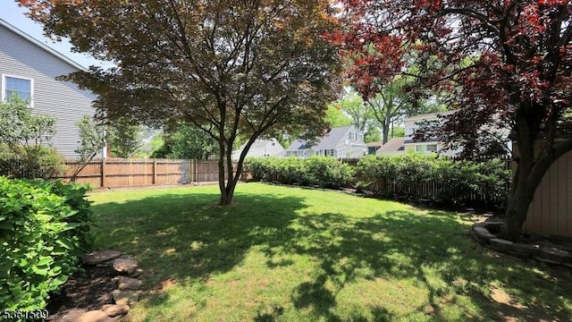 2052 Church Ave, Scotch Plains Twp, NJ 07076 - view of yard