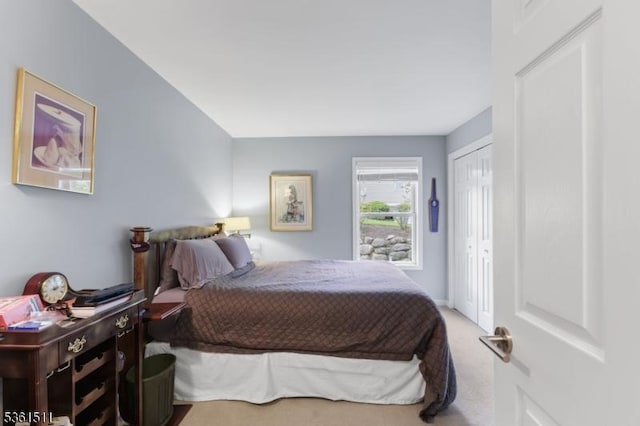 5 Caleb Ct, Hardyston Twp, NJ 07419 - carpeted bedroom featuring a closet