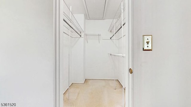 301 Smithwold Rd, Franklin Twp, NJ 08873 - spacious closet featuring attic access