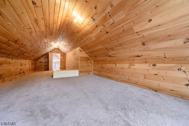 307 Squaw Trl, Hopatcong Boro, NJ 07821 - bonus room featuring wooden walls, wooden ceiling, lofted ceiling, and carpet