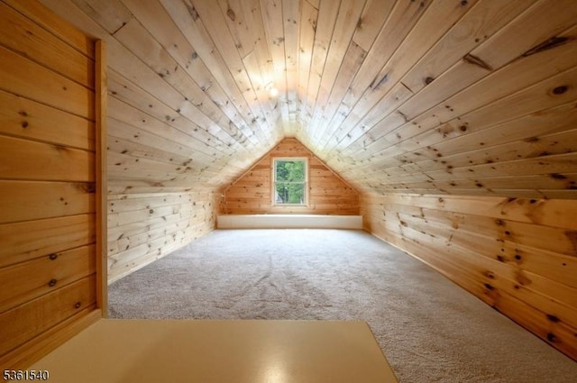 307 Squaw Trl, Hopatcong Boro, NJ 07821 - bonus room featuring wood walls, carpet floors, vaulted ceiling, and wooden ceiling