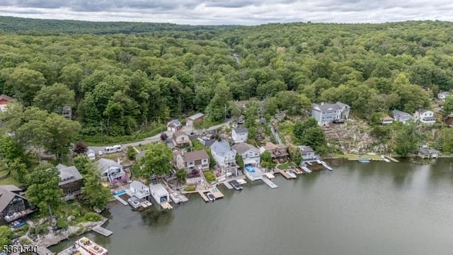 307 Squaw Trl, Hopatcong Boro, NJ 07821 - aerial view of property's location with a forest and a large body of water