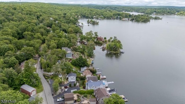 307 Squaw Trl, Hopatcong Boro, NJ 07821 - aerial overview of property's location with a heavily wooded area and a nearby body of water