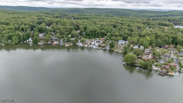 307 Squaw Trl, Hopatcong Boro, NJ 07821 - aerial view of property and surrounding area with a heavily wooded area and a nearby body of water