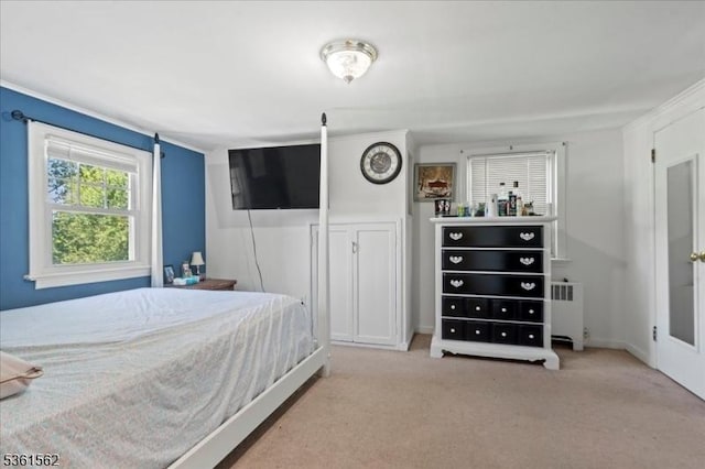 10 Hanover Ave, Hanover Twp, NJ 07981 - bedroom featuring radiator heating unit and carpet