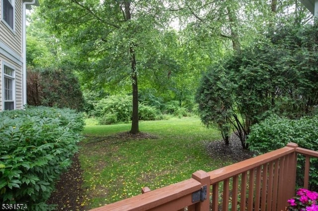 302 Lindabury Ln, Tewksbury Twp, NJ 07979 - view of grassy yard