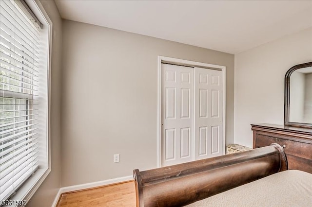 73-81 Mariners Ct, Plainfield City, NJ 07063 - bedroom featuring multiple windows, wood finished floors, and a closet