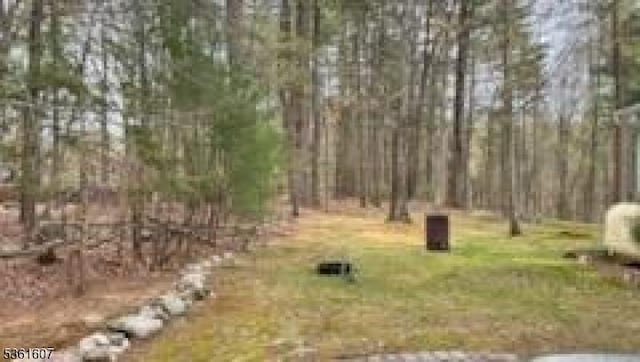 115 Tomahawk Ter, Montague Twp, NJ 07827 - view of yard