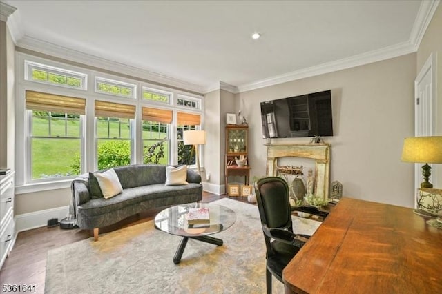 7 Shenandoah Ct, Washington Twp, NJ 07830 - living room with ornamental molding and wood finished floors
