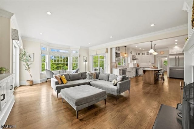 7 Shenandoah Ct, Washington Twp, NJ 07830 - living room featuring crown molding, wood finished floors, and recessed lighting